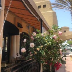 light brown awnings with drapes for a yellow home - custom awnings - custom awnings near me - custom awnings for decks - custom awnings for business - custom door awnings near me - spear awnings - aluminum awnings - dome awnings