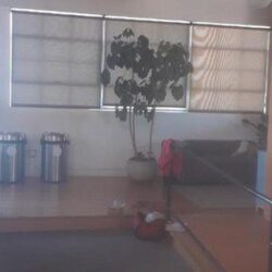 a room with two trash cans, plants, sofa, and roll up curtains - custom awnings - custom awnings near me - custom awnings for decks - custom awnings for business - custom door awnings near me - spear awnings - aluminum awnings - dome awnings